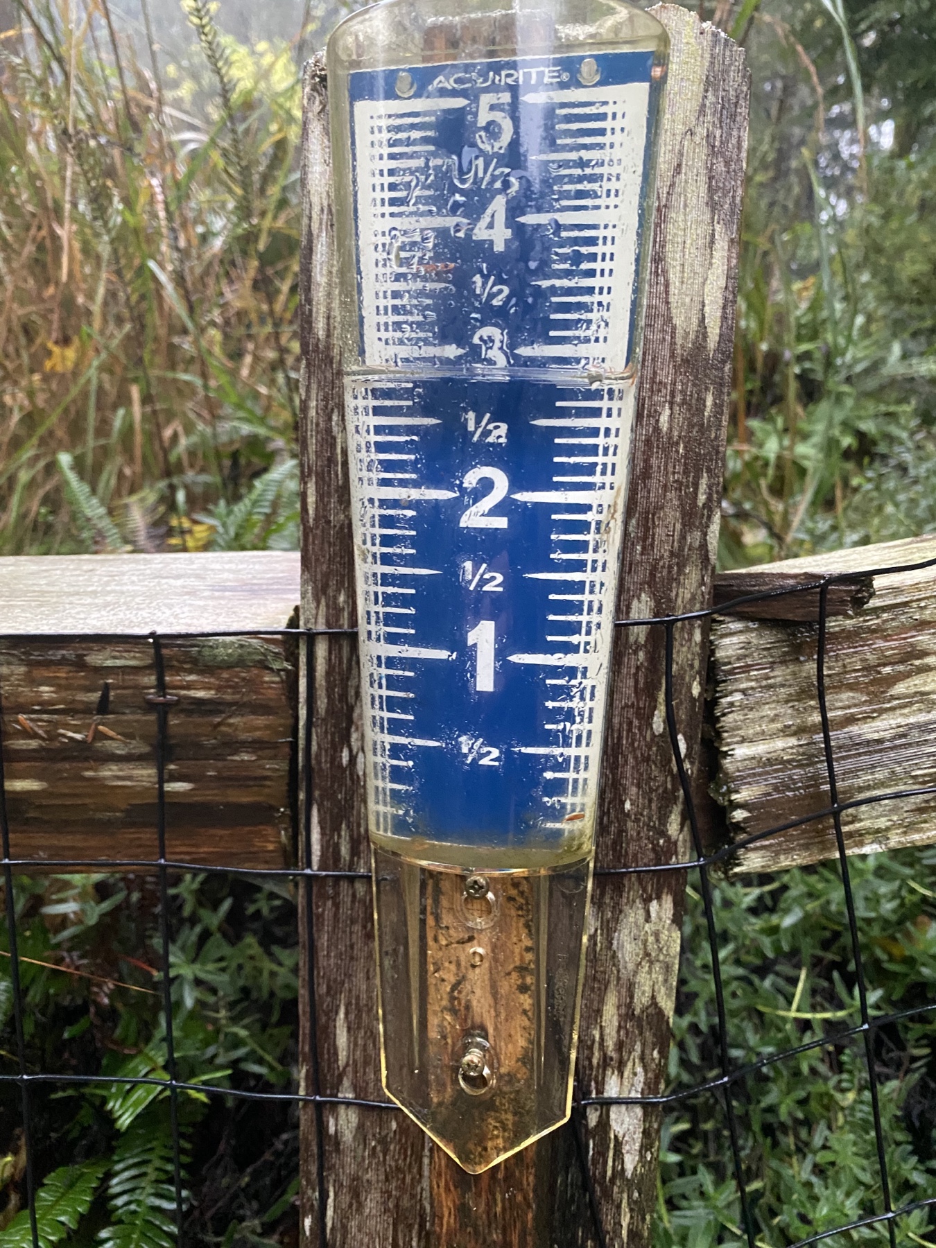Rain gauge indicating 5+ inches of rain 